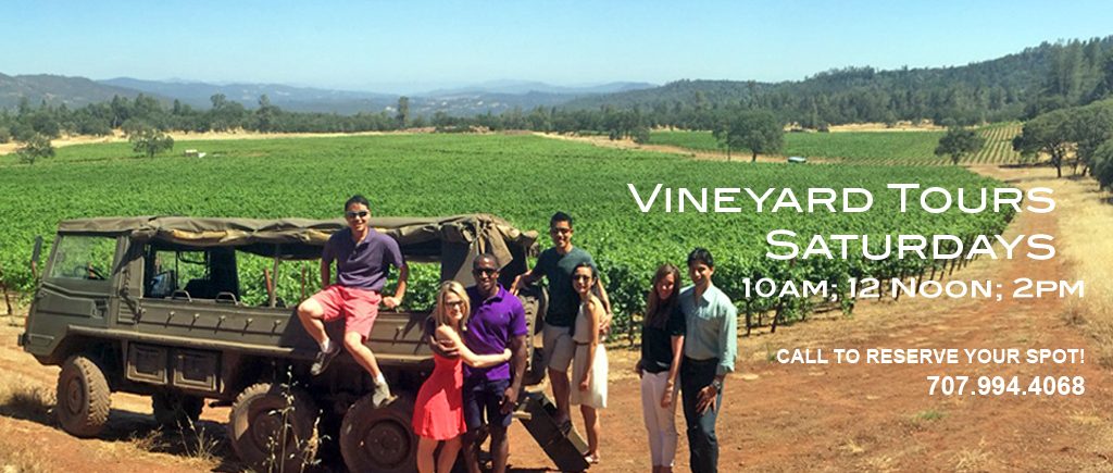 Five people on a vineyard tour at Six Sigma Ranch