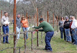 wine event