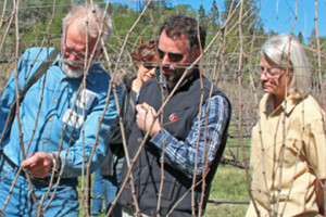 Pruning & Pastries at Six Sigma Ranch