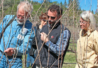 Pruning & Pastries at Six Sigma Ranch