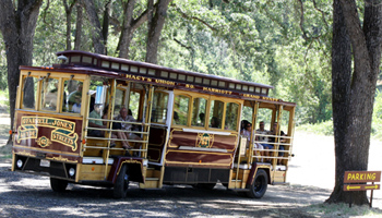 SF Trolley