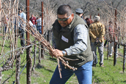 Luis Fajardo at work