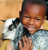 kid-and-goat