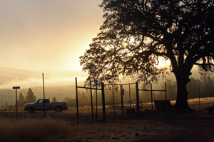 Sunrise in Six Sigma Vineyards