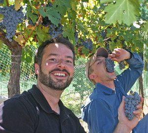 eating grapes at Six Sigma Ranch