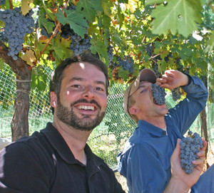 eating grapes at Six Sigma Ranch