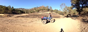 Rachel is inspecting one of the fire-breaks that stopped the fire from spreading to the rest of the Ranch