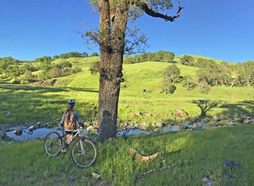 Biking towards the Bootleg Cabin