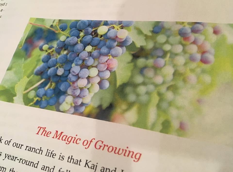 Club Newsletters